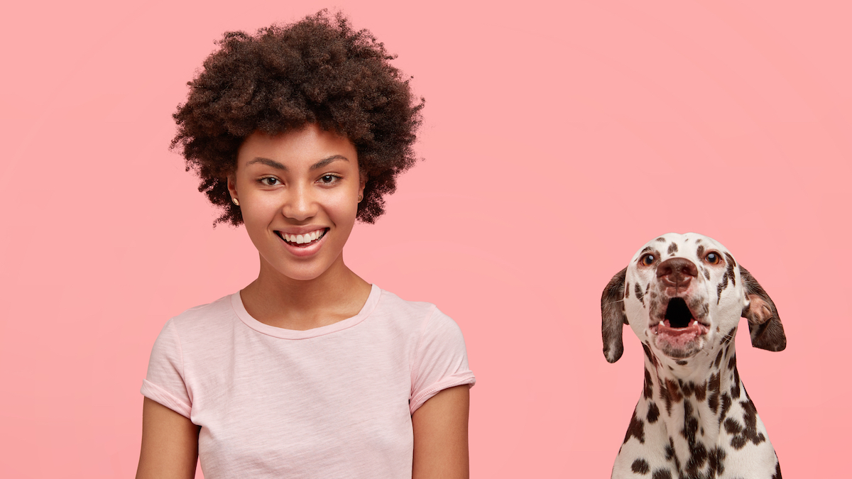 Defining What ‘Pet Friendly’ Means The Multifamily Journal